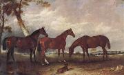 Some Horses unknow artist